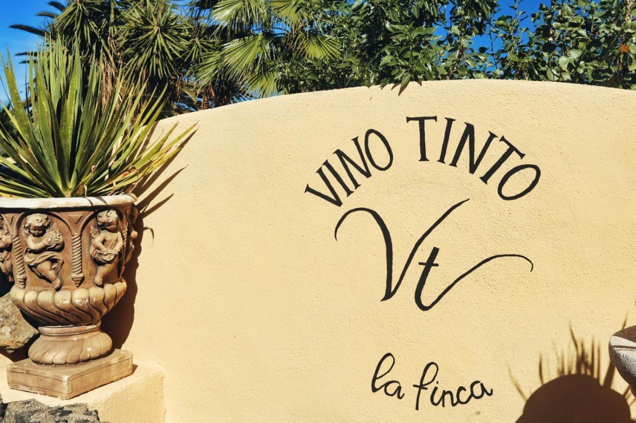Finca Vino Tinto 1 Icod De Los Vinos Zewnętrze zdjęcie